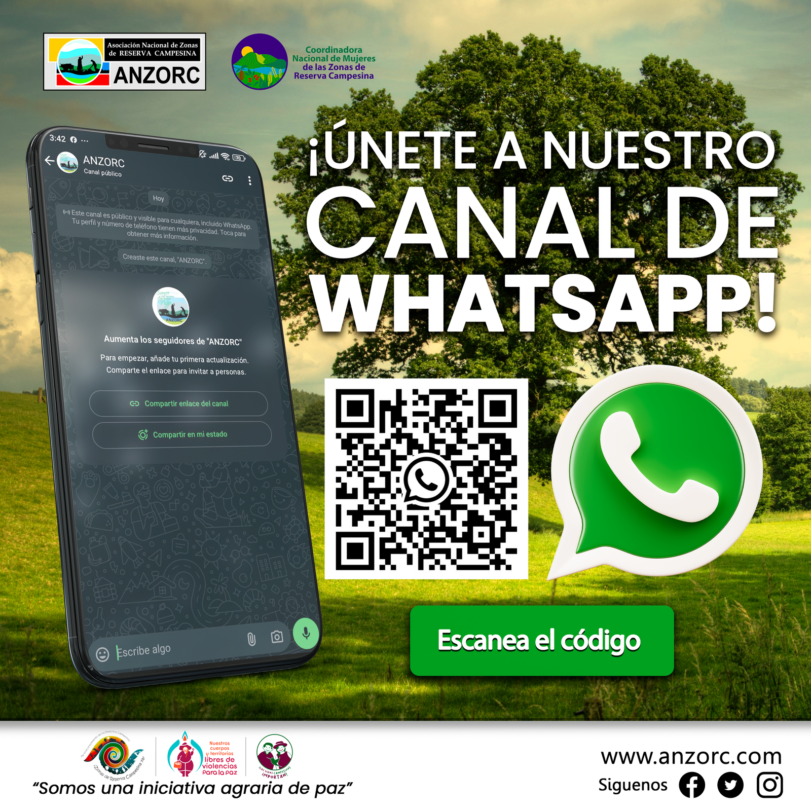 Canal de WhatsApp
